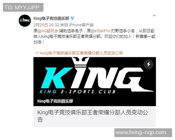 esports最新数据深入探讨王者荣耀BLG战队的技术策略与团队协作模式